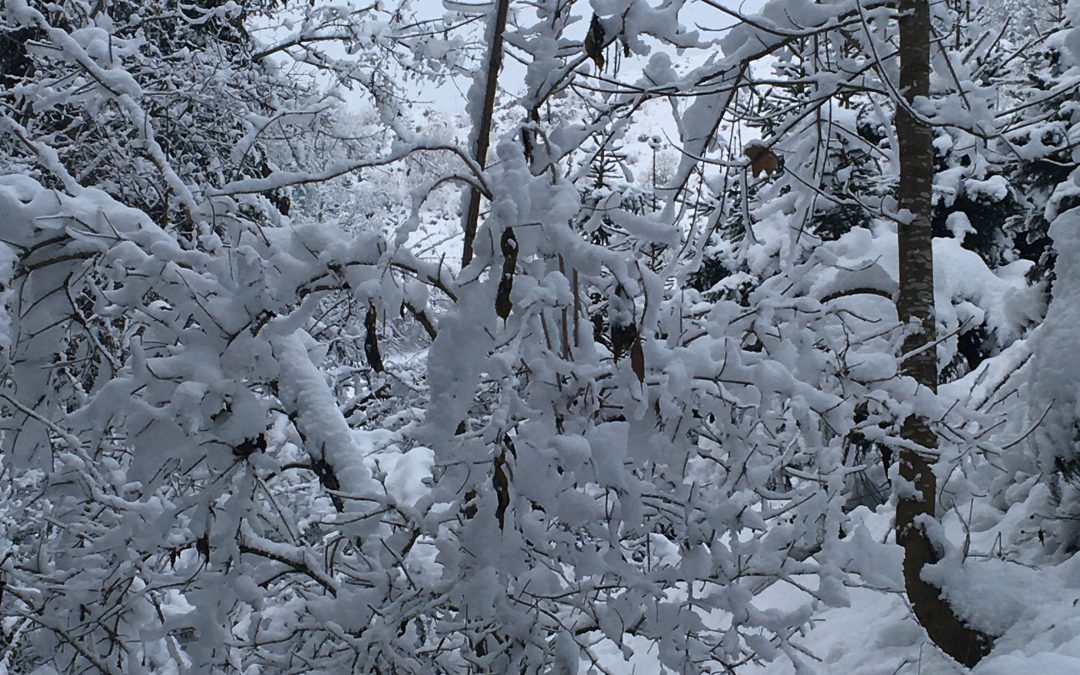 LUCIA VON SYRAKUS ODER DIE PATRONIN DER ELEKTRIKER