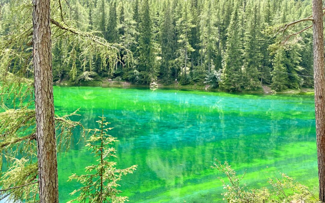 GRÜNER SEE